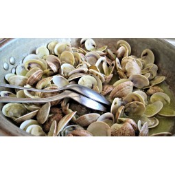 Almejas salteadas